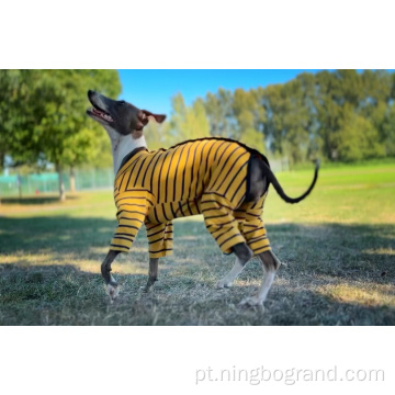 Suéter de cachorrinho de design clássico totalmente coberto